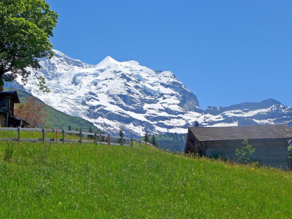 Apartment Tschingelhorn By Interhome Wengen Eksteriør billede