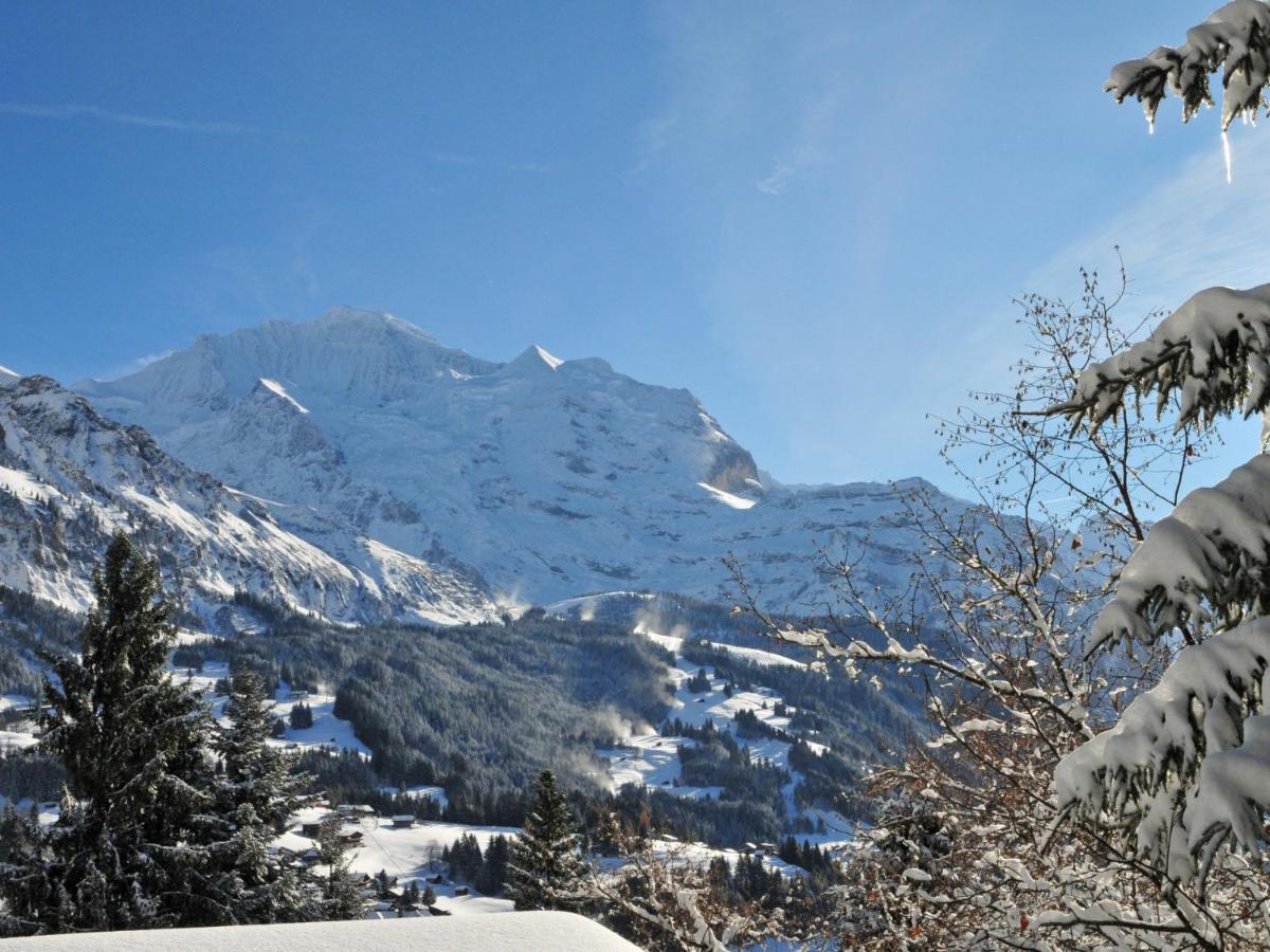 Apartment Tschingelhorn By Interhome Wengen Eksteriør billede